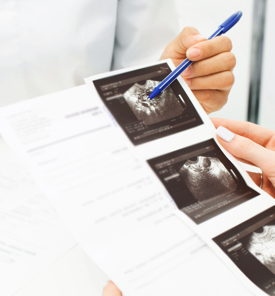 Red River Paper Premium Medical Imaging Paper
